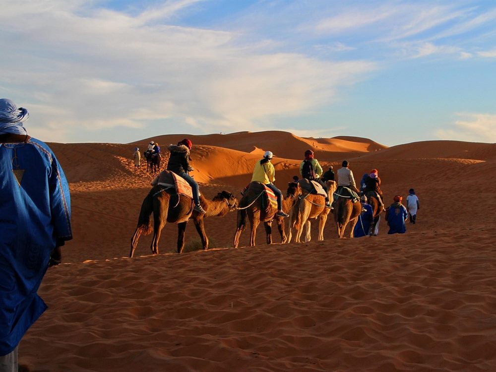 Dune Bashing